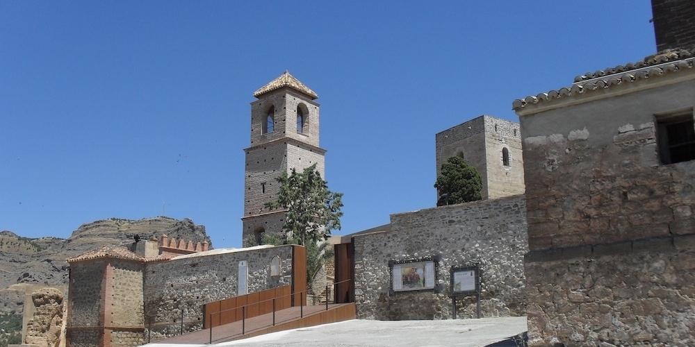 143738301910alora-1.jpg